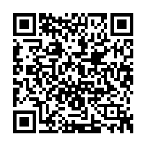 光明武会拥有十三位光明长老组成的长老审判团二维码生成
