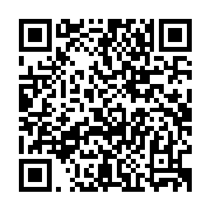 光昭帝又想起了那日去慈元宫时听到柳世镶对文慈皇后说的那句二维码生成