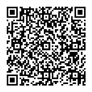光昭帝和文慈皇后难得地将手握在了一起――他们的儿子终于敢飞出皇宫到外面的世界去接受磨砺了二维码生成