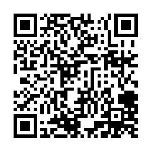 光是上千万美元的收益就只能赢了之后才拿的到手二维码生成