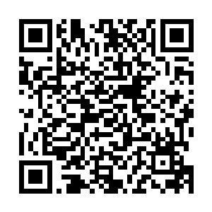 光是主药中需要的一株三百年以上的灵芝就是不小的价钱二维码生成