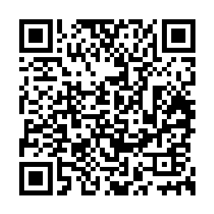 光是叶莲娜和卡瑞玛要同时出现这个理由够不够二维码生成