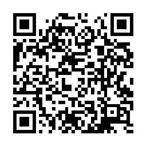 光是寻找到一个南海岸之外适合巫师们生存的环境二维码生成