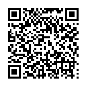 光是王虎等最老一批核心修士的就将监管修士强行拦下二维码生成