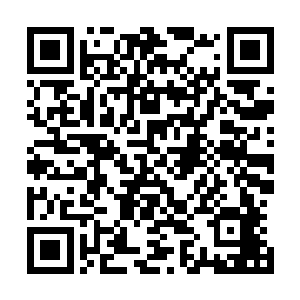 光是眼前的办公大楼和旁边豪华到堪比国际顶尖的休憩会所二维码生成
