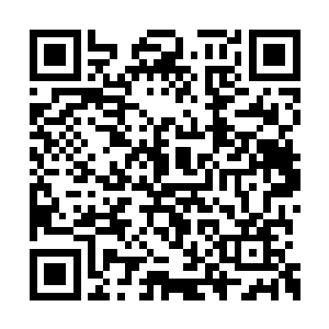 光是赔出去的银子都够好几个左相一生的俸禄了二维码生成