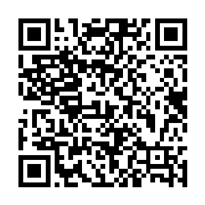 光是这一项就提升了自己不下五倍于自身的杀伤力二维码生成