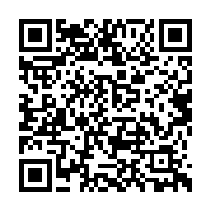 光是这个寓意已经把这道菜给推向了另一个境界二维码生成