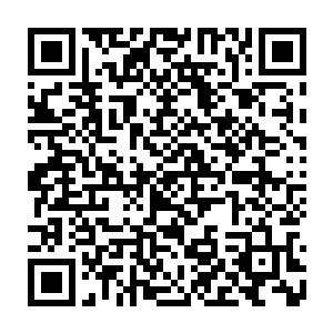 光是这样一个漫长送往医院的时间就已经足够让严宽死上七八回都不止了二维码生成