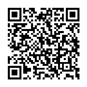 光是雷林一个人的游击战就可以令对方焦头烂额二维码生成
