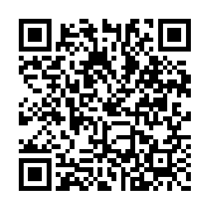 光洁可爱的脚丫子化作一根长矛袭向秦洛的下巴二维码生成