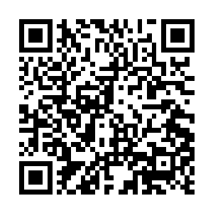 光看那皮包骨一样的干扁身材那些男修就没了兴致二维码生成