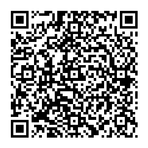 光箭一马当先　这一刻带动的气势足以翻江倒海　比之前的一箭更甚　威力也是更加庞大　它甚至已经进入了虚无二维码生成