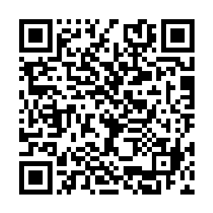 光箭已经将他们两个的界压缩到距离身体不到一米二维码生成