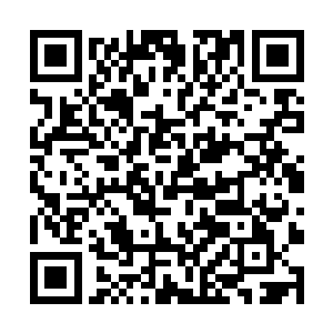 光芒城堡的确有专门的血族研究暗党到明党的逆转化二维码生成