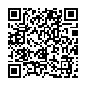 光芒大陆的武者只是感应到一股恐怖的气息降临后又立即消失二维码生成