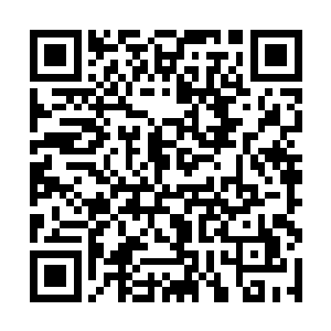 光辉之果可以提高现在自己唯一还有些用处的精神力二维码生成