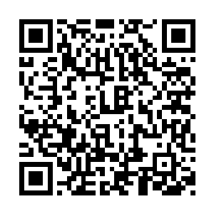 克劳迪娅为她扑了一些蜜粉――因为是内部派对二维码生成