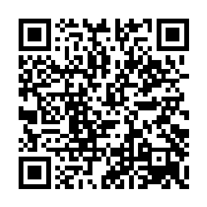 克林德也开始后悔自己为什么要当这个出头鸟了二维码生成