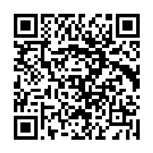 克里兰德家族的长老议会则多数由一些年迈的长辈组成二维码生成