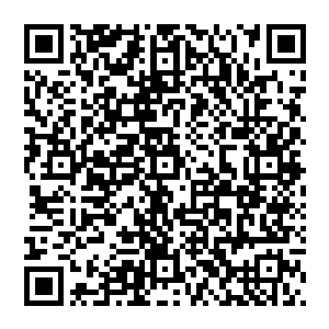 克雷尔说这些对人有着最强攻击性的铁牙鬣狗群是最有可能与那隐藏在幕后的驭兽师刚刚接触不久的兽群二维码生成