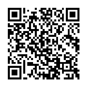 克鲁斯演员职业生涯之中最值得铭记的作品之一二维码生成