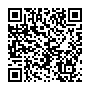 克鲁斯的横空出世将再次带领好莱坞回到巅峰时期的辉煌二维码生成