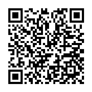 免得自己一个人守着这么一栋别墅过于冷清孤单二维码生成