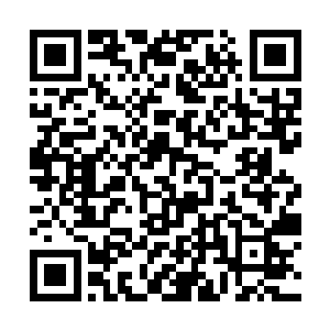 免得那些没对象的小姑娘们不知道陈观是有主儿的人二维码生成