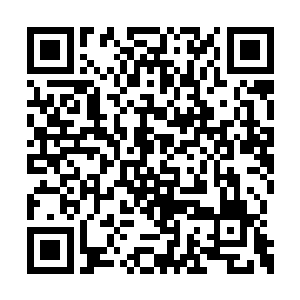 兔子目光都快要瞪出般看向这片充满死灵的世界二维码生成