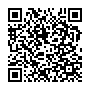 兔子窝就在刚才你看的那棵树底下不远处的草丛啊二维码生成