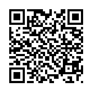 兔美仍然装作什么都不知道的样子二维码生成