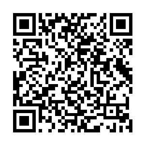 党争都已经无敌手的张巨鹿更是可以运筹帷幄得尽善尽美二维码生成