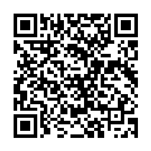 党委政府将为这些私营企业发展提供更好更完善的服务二维码生成