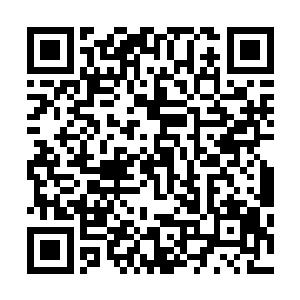入内推开窗户能看到外面街道上的人来人往和河道上的行船二维码生成