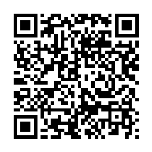 入夜之后没有夫人的命令任何人都不得随意进出海蓝堡二维码生成