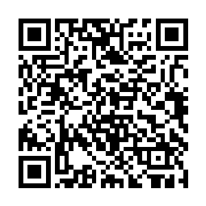 入学仪式就是将他们那一批新生丢在了一个无人岛上二维码生成