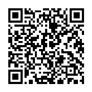 入学的最低标准是在十八岁之前拥有八层圣之力才行二维码生成