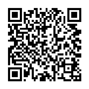 全世界加起来也就那么一些人而已……这只要随意调查一下二维码生成