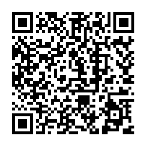 全世界所有的人没有一个人说洪大力这是在弄虚作假之类的嫉妒的话二维码生成