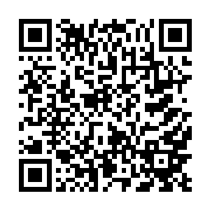 全世界最好的海水也绝对没有这片海域水质的十分之一二维码生成
