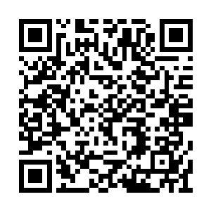 全世界都围绕着他转――就是字面上的真实意思二维码生成