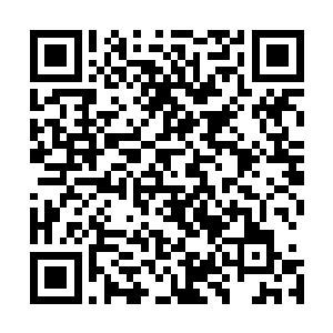 全力以赴施展出下品下等圣域绝学绝对能够秒了这小小半圣二维码生成