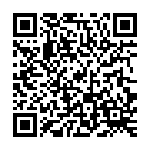 全力攻击她的头部……左边如若坚持不住记得往我这边引……二维码生成
