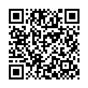 全力消化着并蒂莲的药力恢复身上的伤势二维码生成