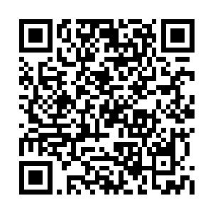 全力运转的众多战技在这一刻全被打的不畅起来二维码生成