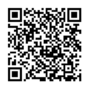 全力配合打造出一个真正具备勘探能力的强有力竞争公司来二维码生成