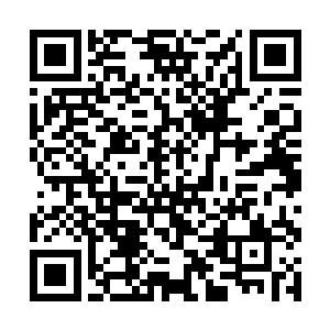 全国著名的经济学家也是两个眼睛两个鼻孔一个嘴巴二维码生成