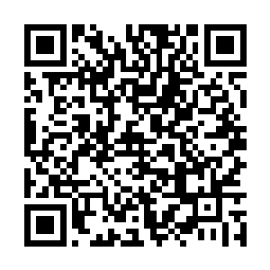 全国送满1oo台为止智为科技将保证本次活动的公开二维码生成