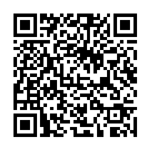 全场一万多将近两万的观众就开始大声呐喊了起来二维码生成